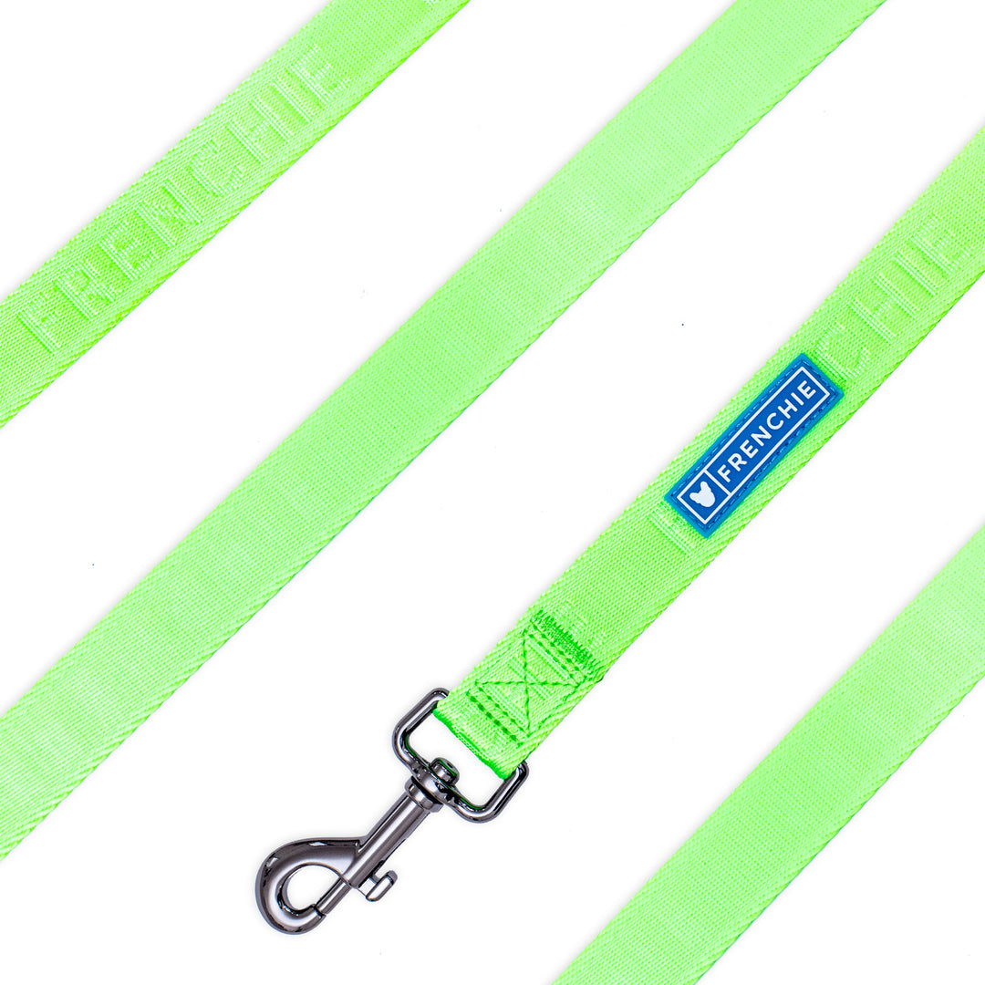 Frenchie Comfort Leash - Neon Green