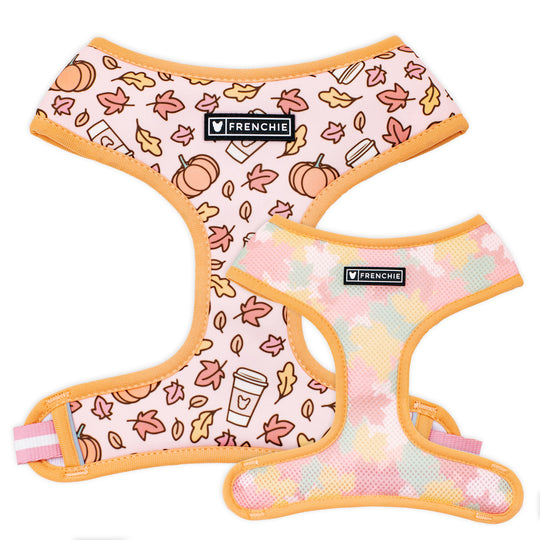 Frenchie Duo Reversible Harness - Pumpkin Spice