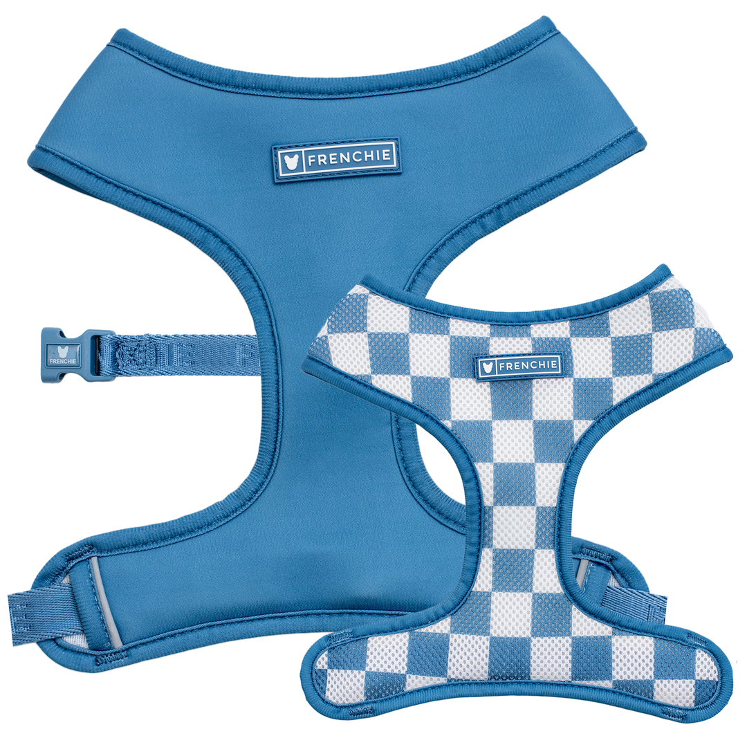 Frenchie reversible harness 2025