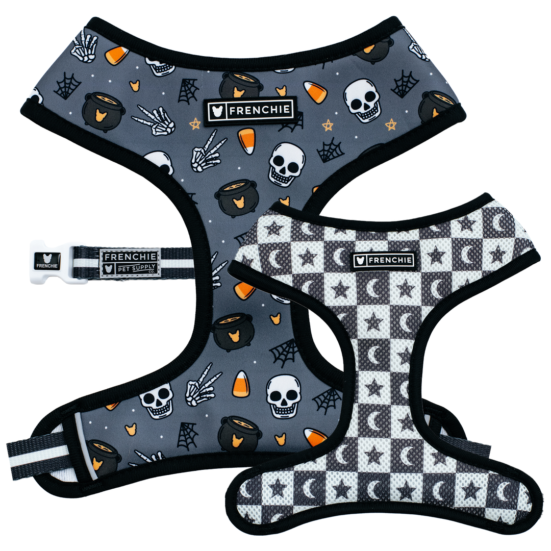 Frenchie Duo Reversible Harness Black Magic