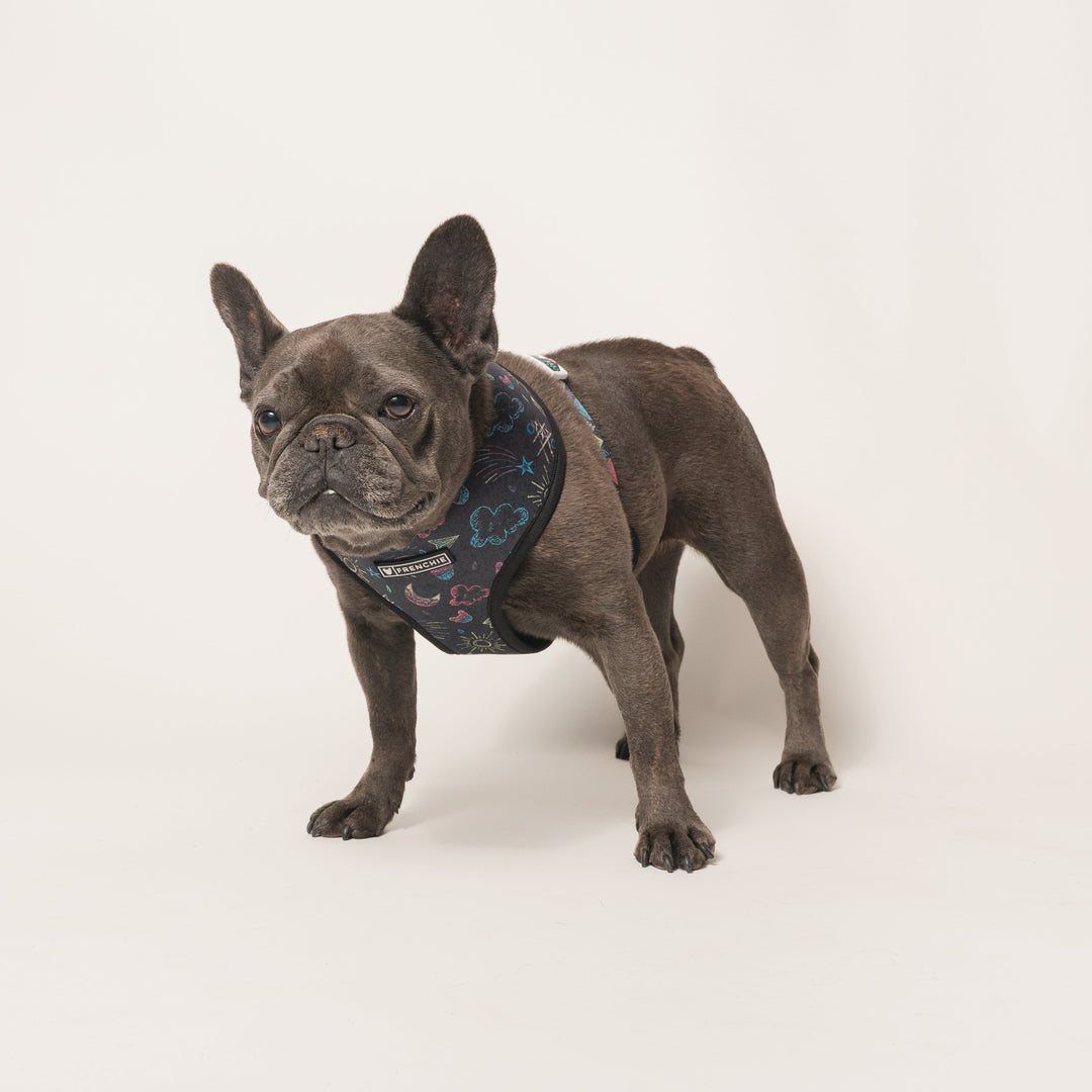 Frenchie Duo Reversible Harness - Chalk Art