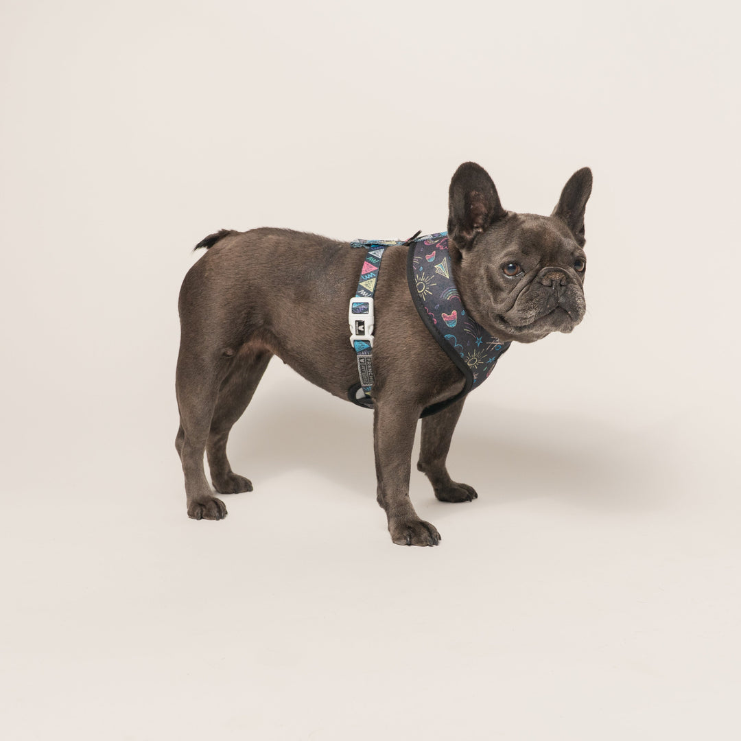 Frenchie Duo Reversible Harness - Chalk Art
