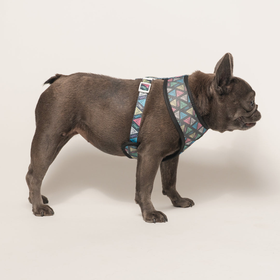 Frenchie Duo Reversible Harness - Chalk Art