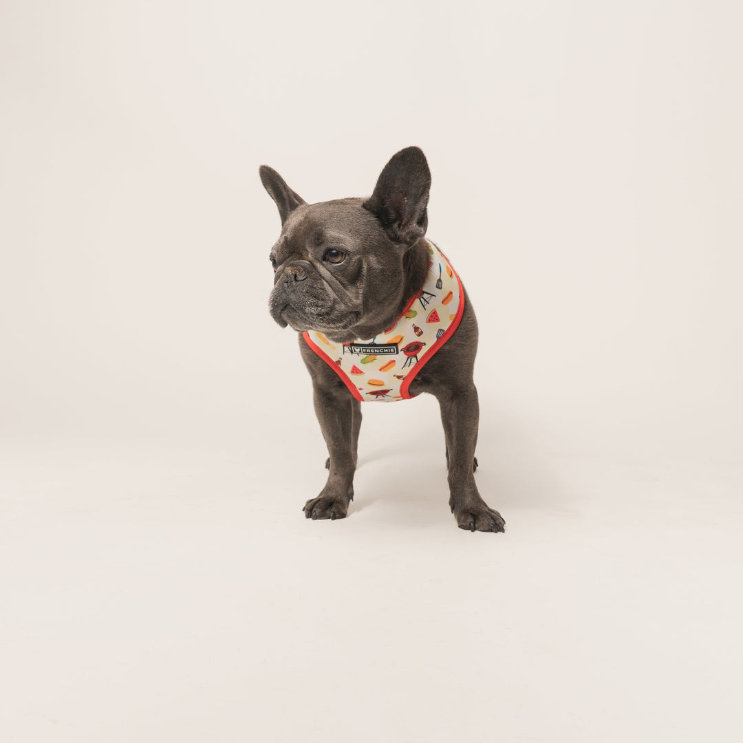 Frenchie Duo Reversible Harness - Cook Out