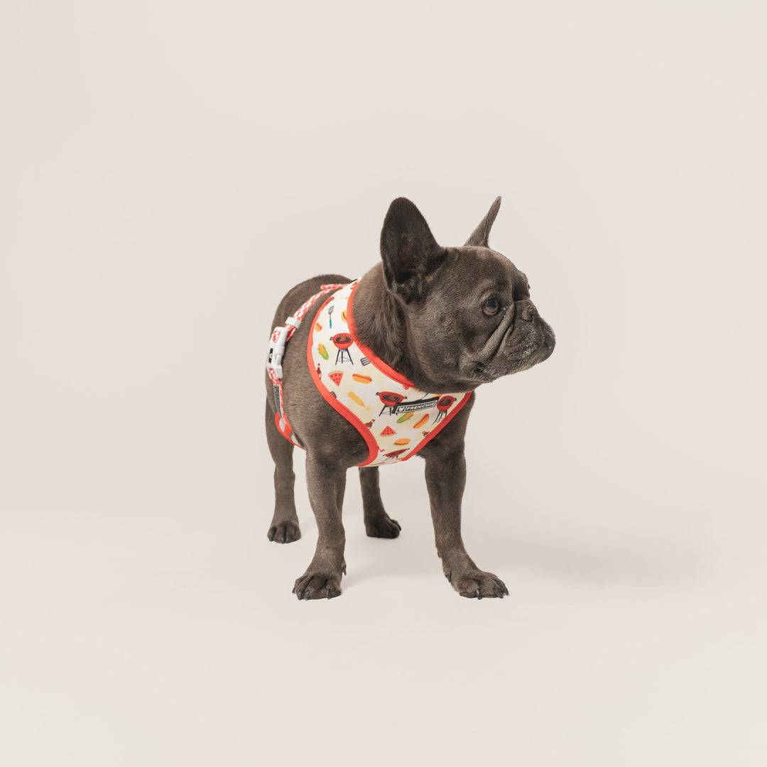 Frenchie Duo Reversible Harness - Cook Out
