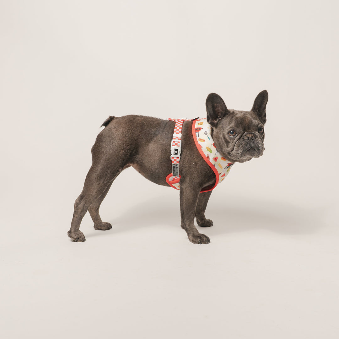 Frenchie Duo Reversible Harness - Cook Out