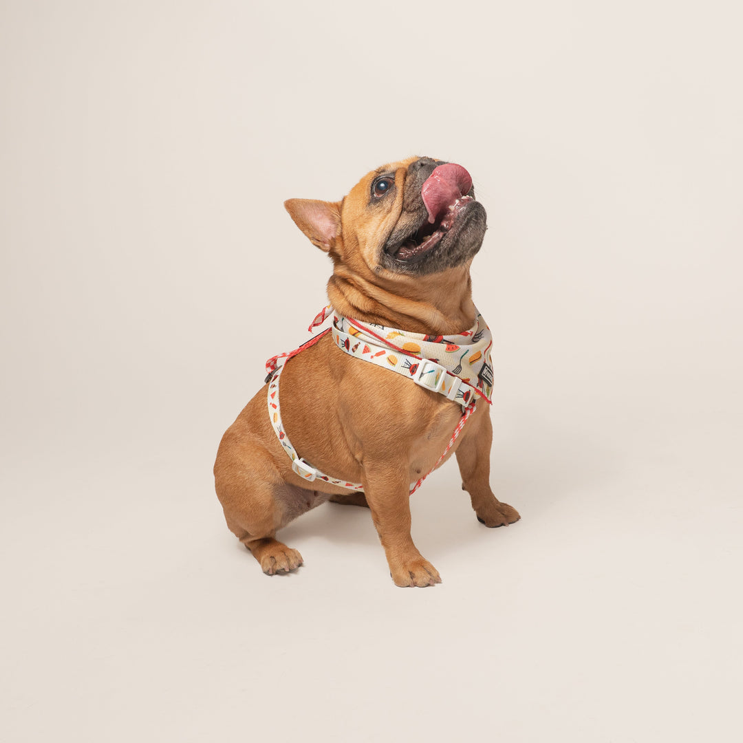 Frenchie Cooling Bandana - Cook Out