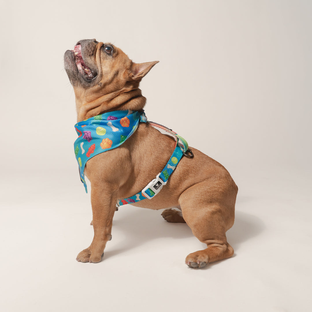 Frenchie Cooling Bandana - Gummies