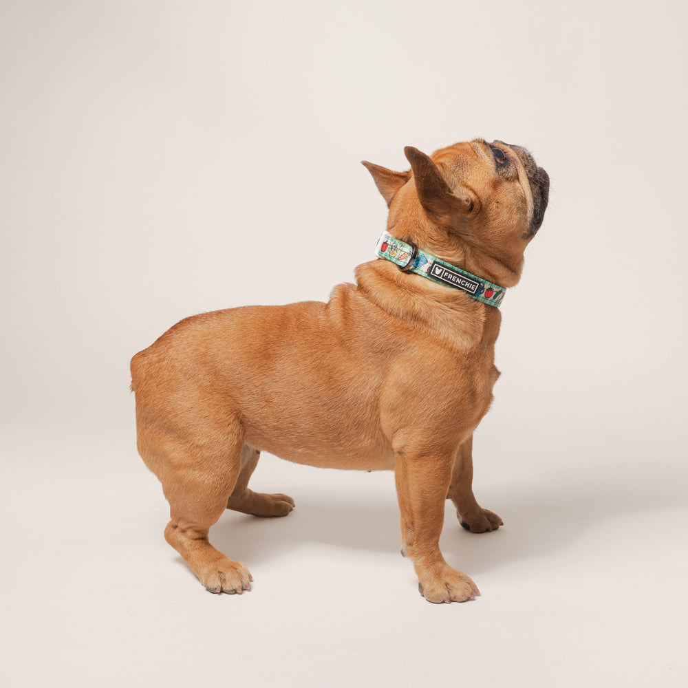 Frenchie Comfort Collar - Veggies