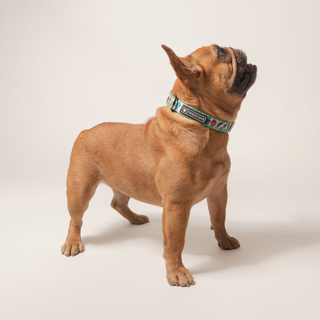 Frenchie Comfort Collar - Veggies
