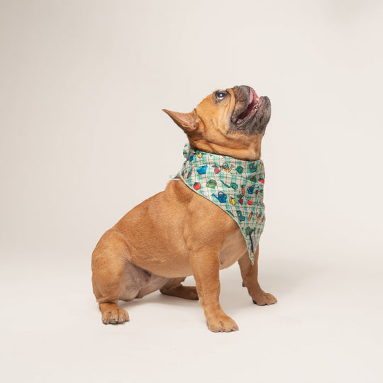 Frenchie Cooling Bandana - Veggies