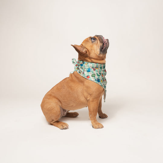 Frenchie Cooling Bandana - Veggies