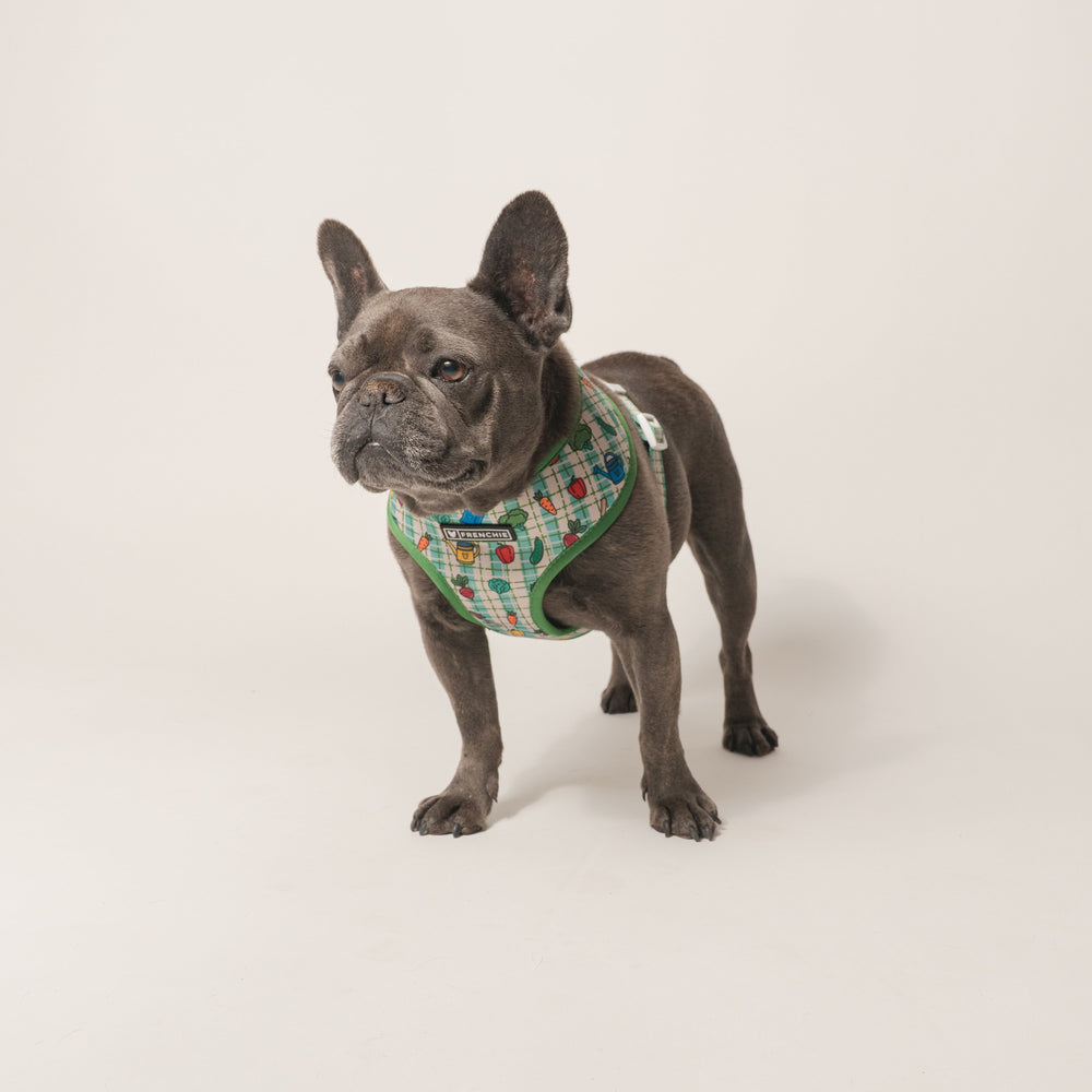 Frenchie Duo Reversible Harness - Veggies