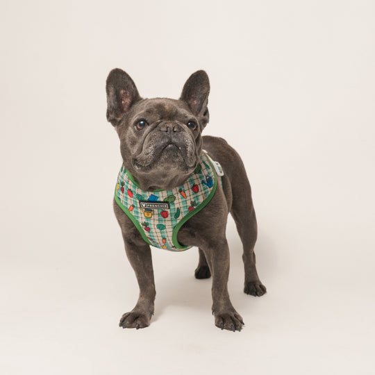 Frenchie Duo Reversible Harness - Veggies