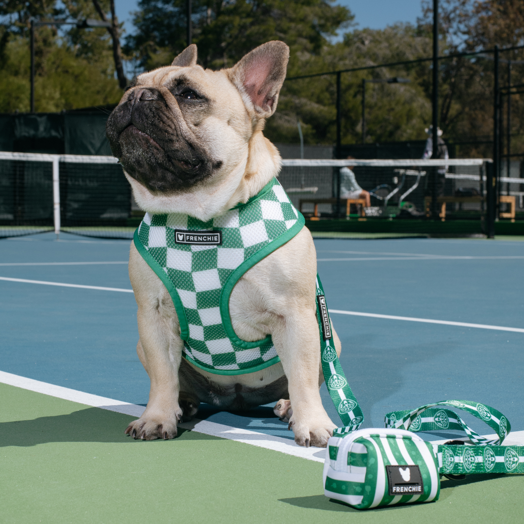 Frenchie Duo Reversible Harness - Pickleball