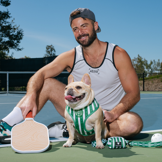 Frenchie Duo Reversible Harness - Pickleball