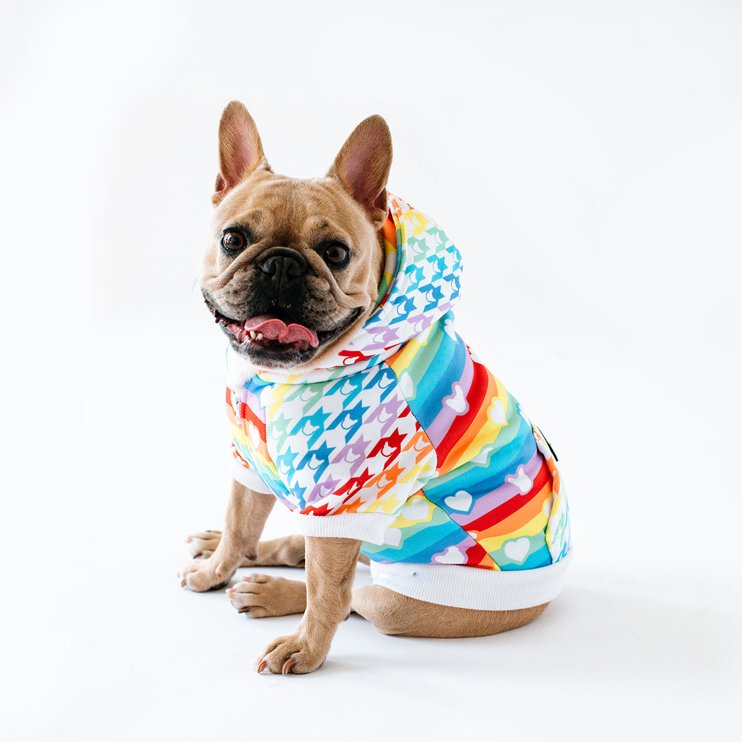 Frenchie Dog Hoodie - Pride