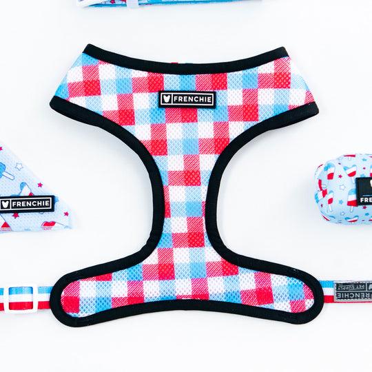 Frenchie Duo Reversible Harness Kit - Poppin'