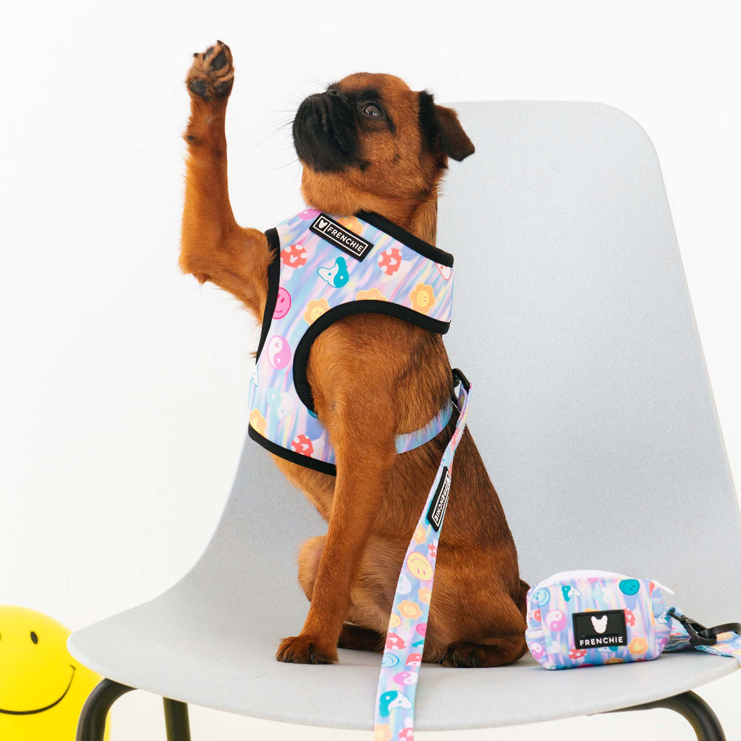 Frenchie Duo Reversible Harness - Good Vibes