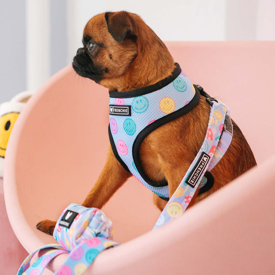Frenchie Duo Reversible Harness - Good Vibes