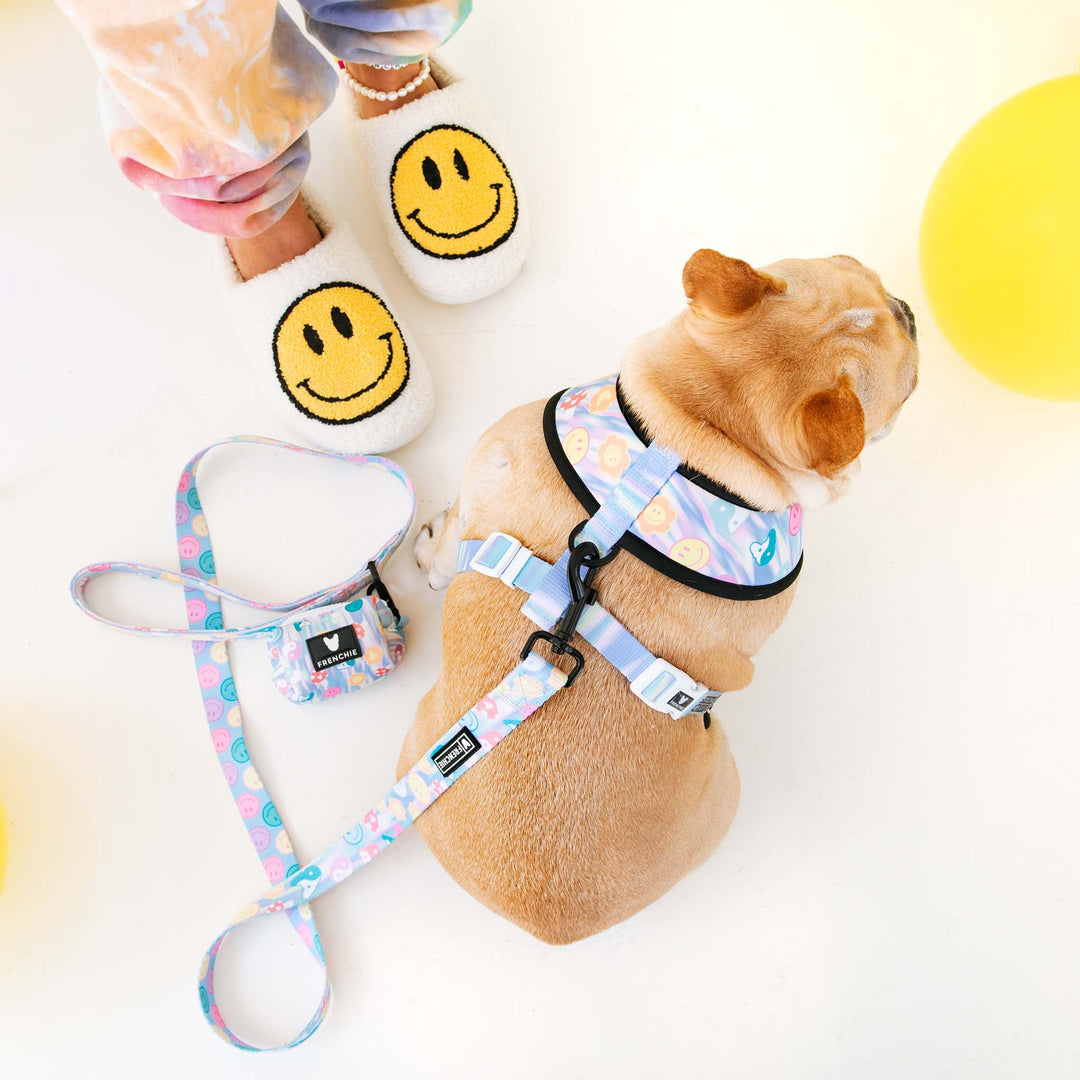 Frenchie Comfort Leash - Good Vibes