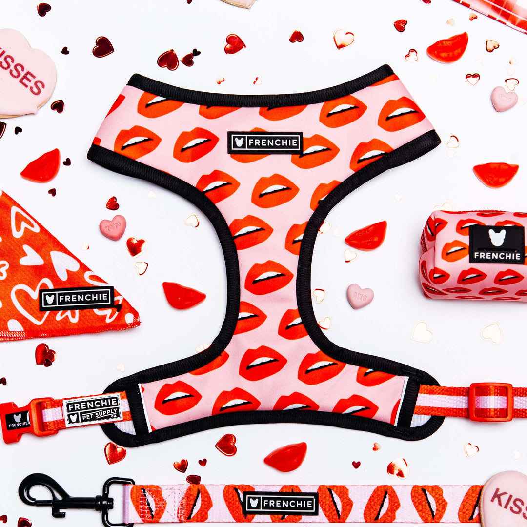 Frenchie Duo Reversible Harness - Hot Lips