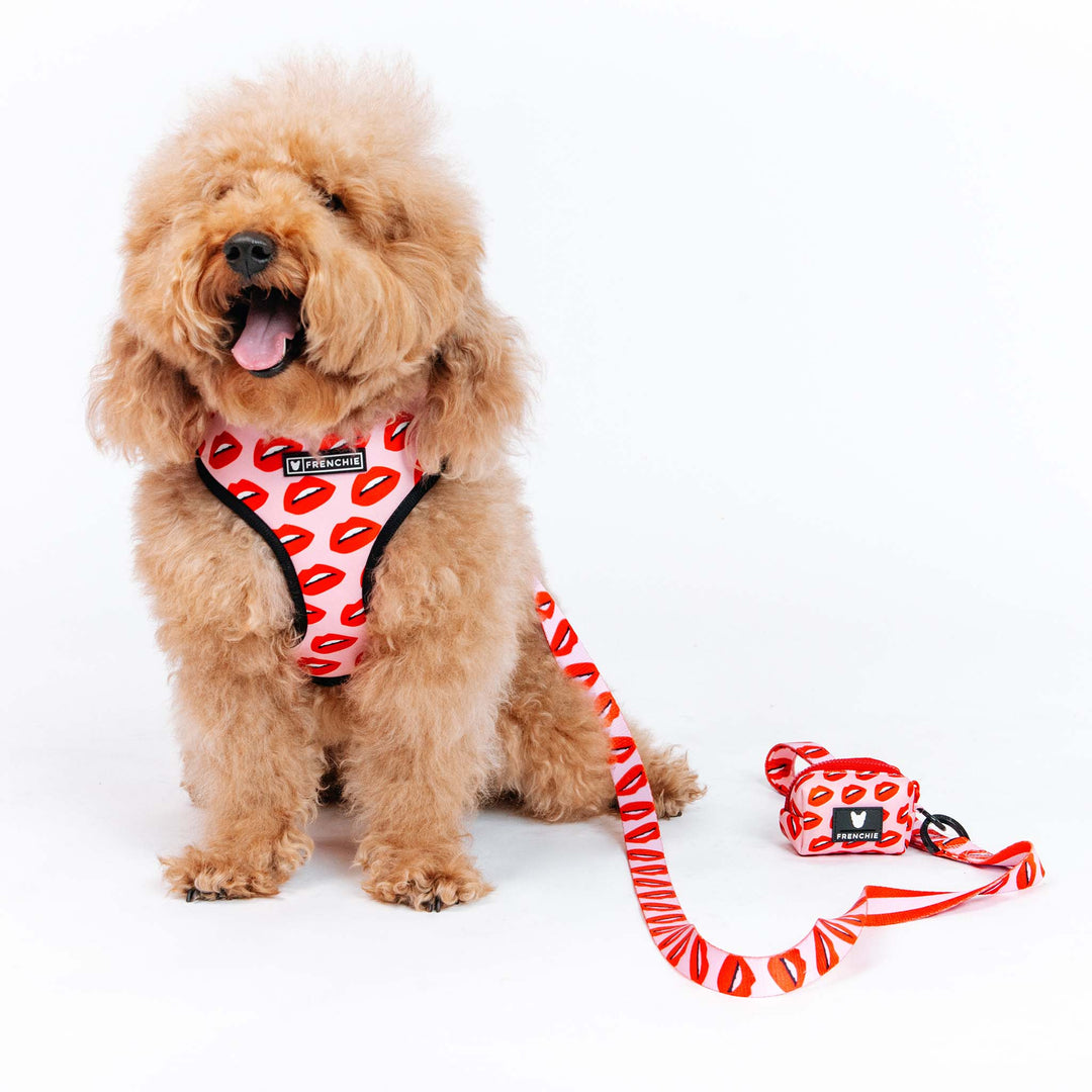 Frenchie Duo Reversible Harness - Hot Lips