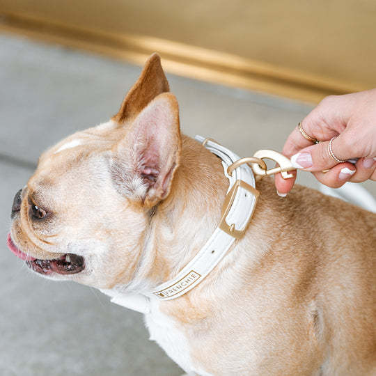 Vegan Leather- White Luxe - Frenchie Bulldog - Shop Harnesses for French Bulldogs - Shop French Bulldog Harness - Harnesses for Pugs