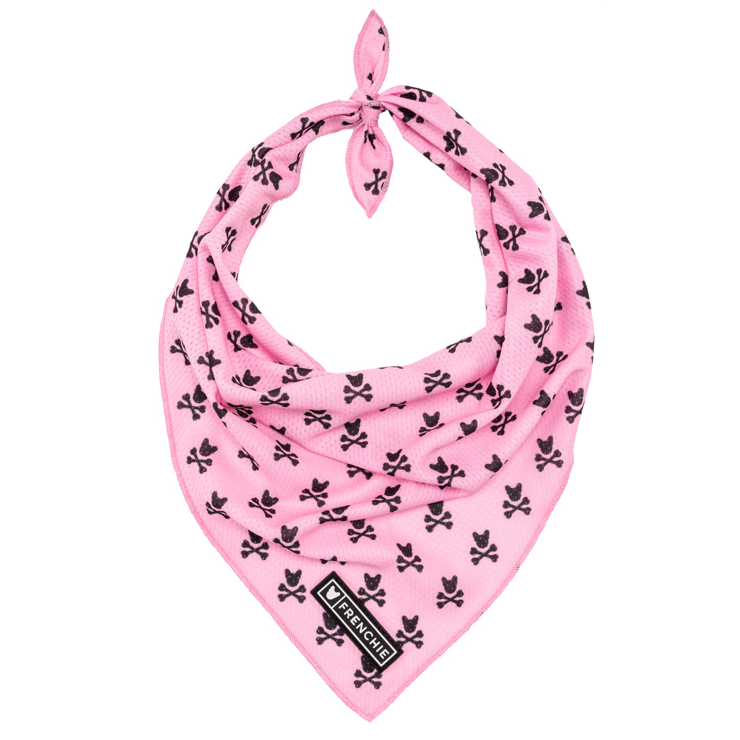 Frenchie Cooling Bandana - Pink Bad to the Bone - Frenchie Bulldog - Shop Harnesses for French Bulldogs - Shop French Bulldog Harness - Harnesses for Pugs
