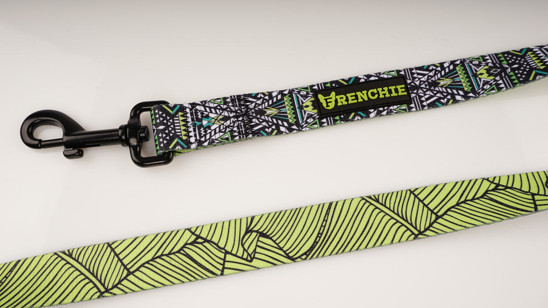 Frenchie Comfort Leash - JURASSIC - Frenchie Bulldog - Shop Harnesses for French Bulldogs - Shop French Bulldog Harness - Harnesses for Pugs