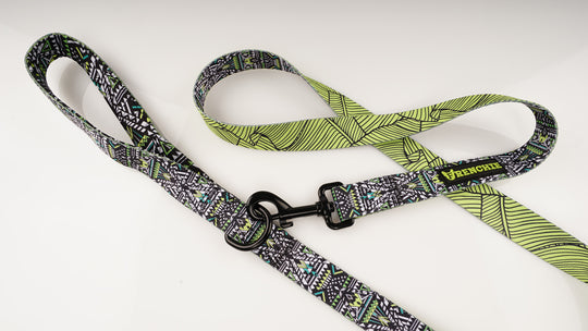 Frenchie Comfort Leash - JURASSIC - Frenchie Bulldog - Shop Harnesses for French Bulldogs - Shop French Bulldog Harness - Harnesses for Pugs