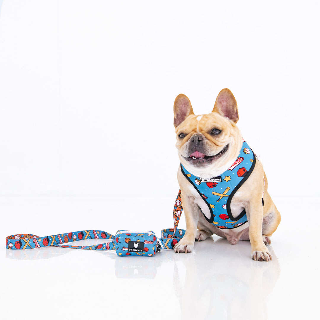 Frenchie Duo Reversible Harness - Batter Up