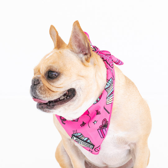 Frenchie Cooling Bandana - Birthday Queen