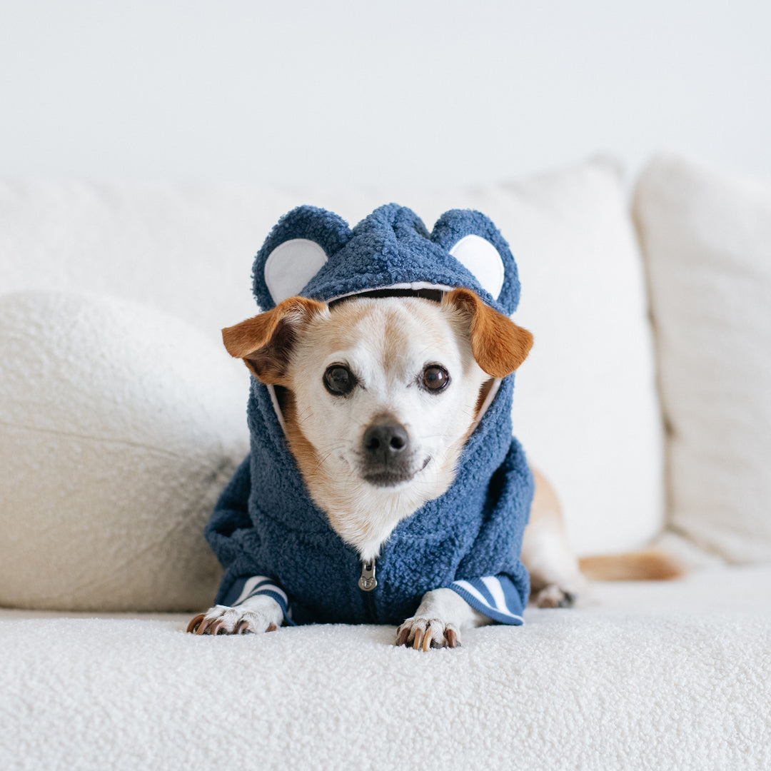 Frenchie Dog Hoodie - Blue Teddy