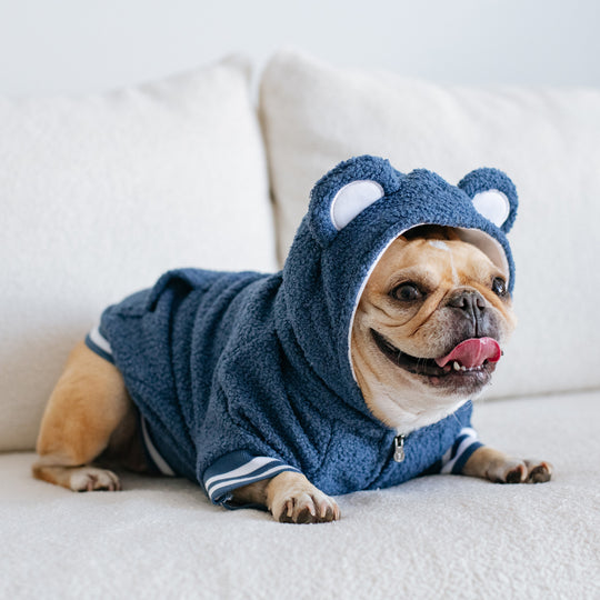 Frenchie Dog Hoodie - Blue Teddy