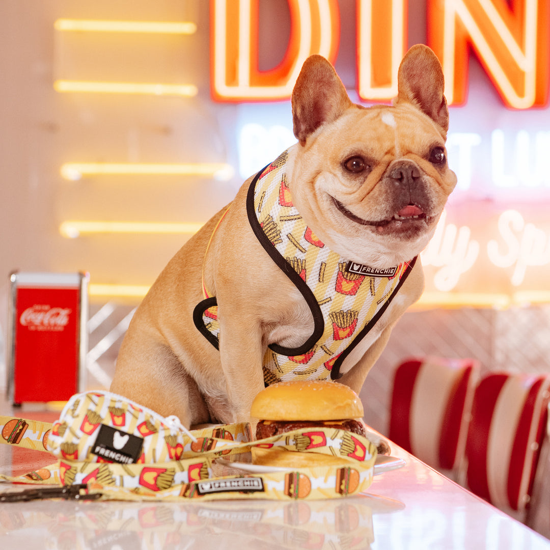 Frenchie Duo Reversible Harness - Burger N Fries