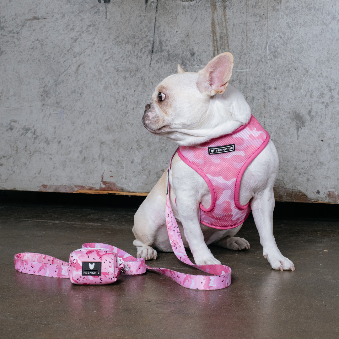 Frenchie Duo Reversible Harness - Desert Camo (Pink)