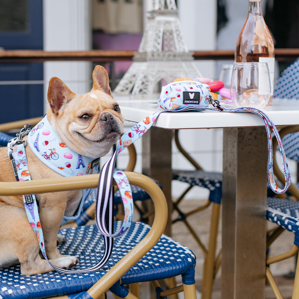 Frenchie Comfort Leash - Frenchie in Paris