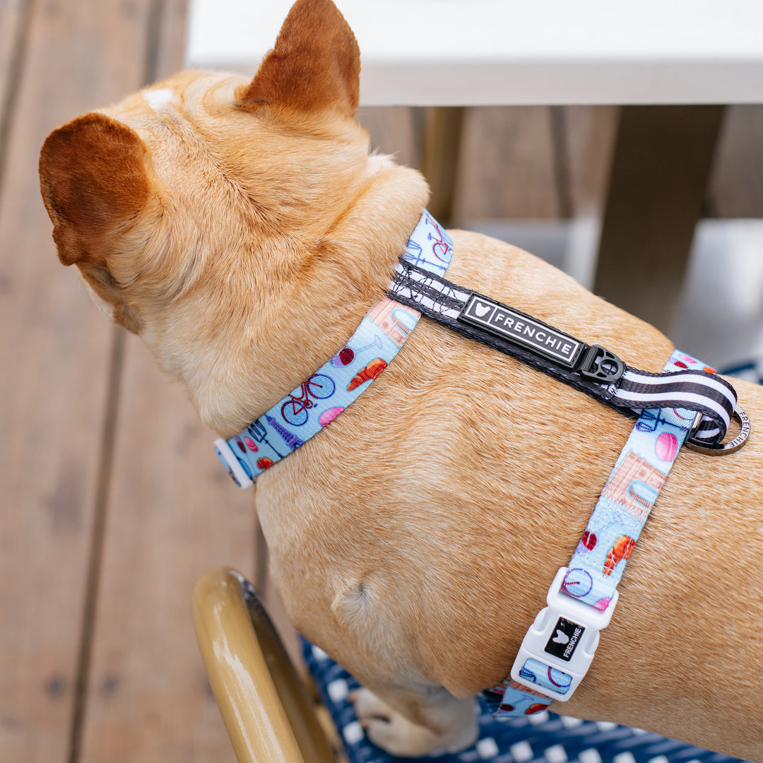 Frenchie Strap Harness - Frenchie in Paris