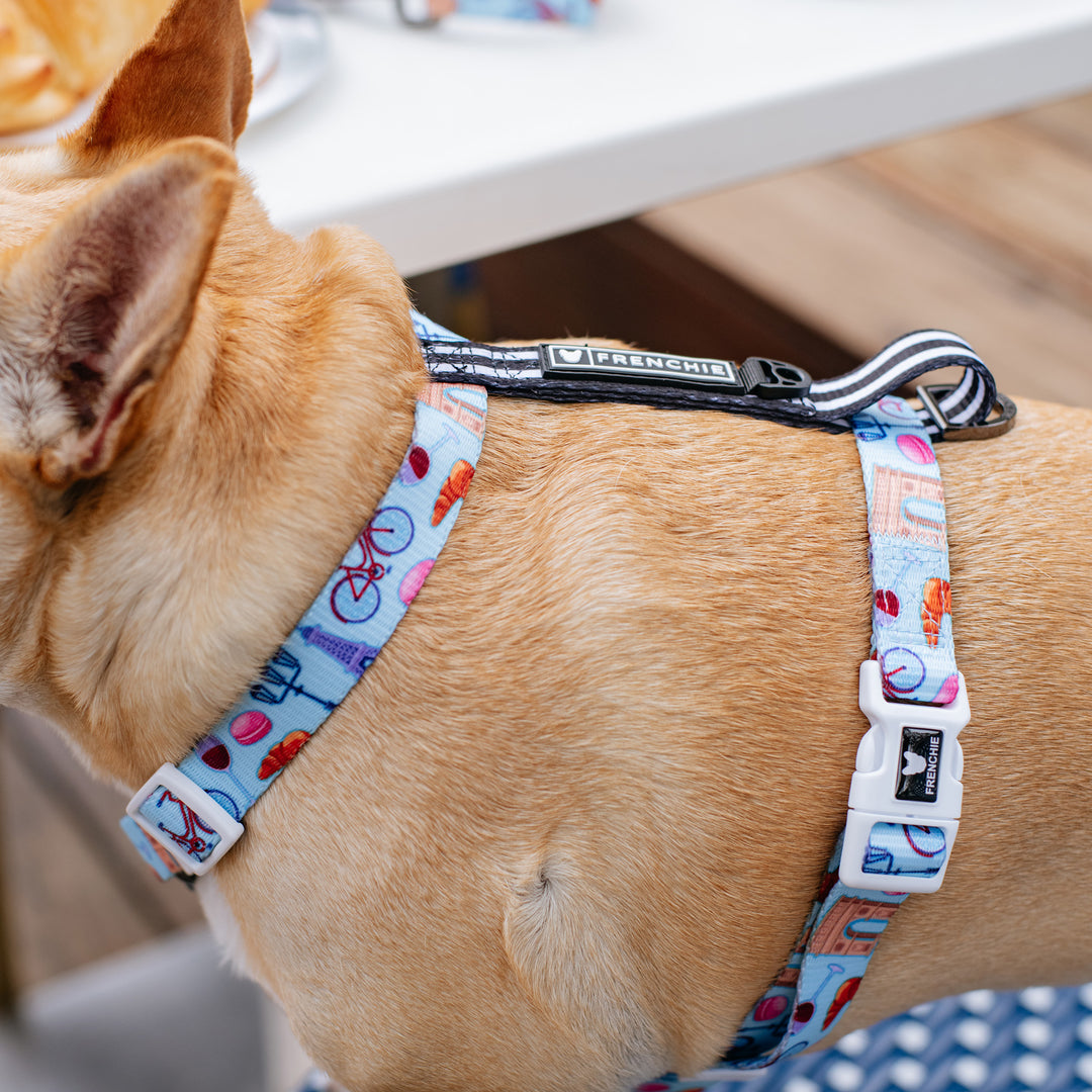 Frenchie Strap Harness - Frenchie in Paris