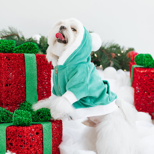 Frenchie Dog Hoodie - Elf