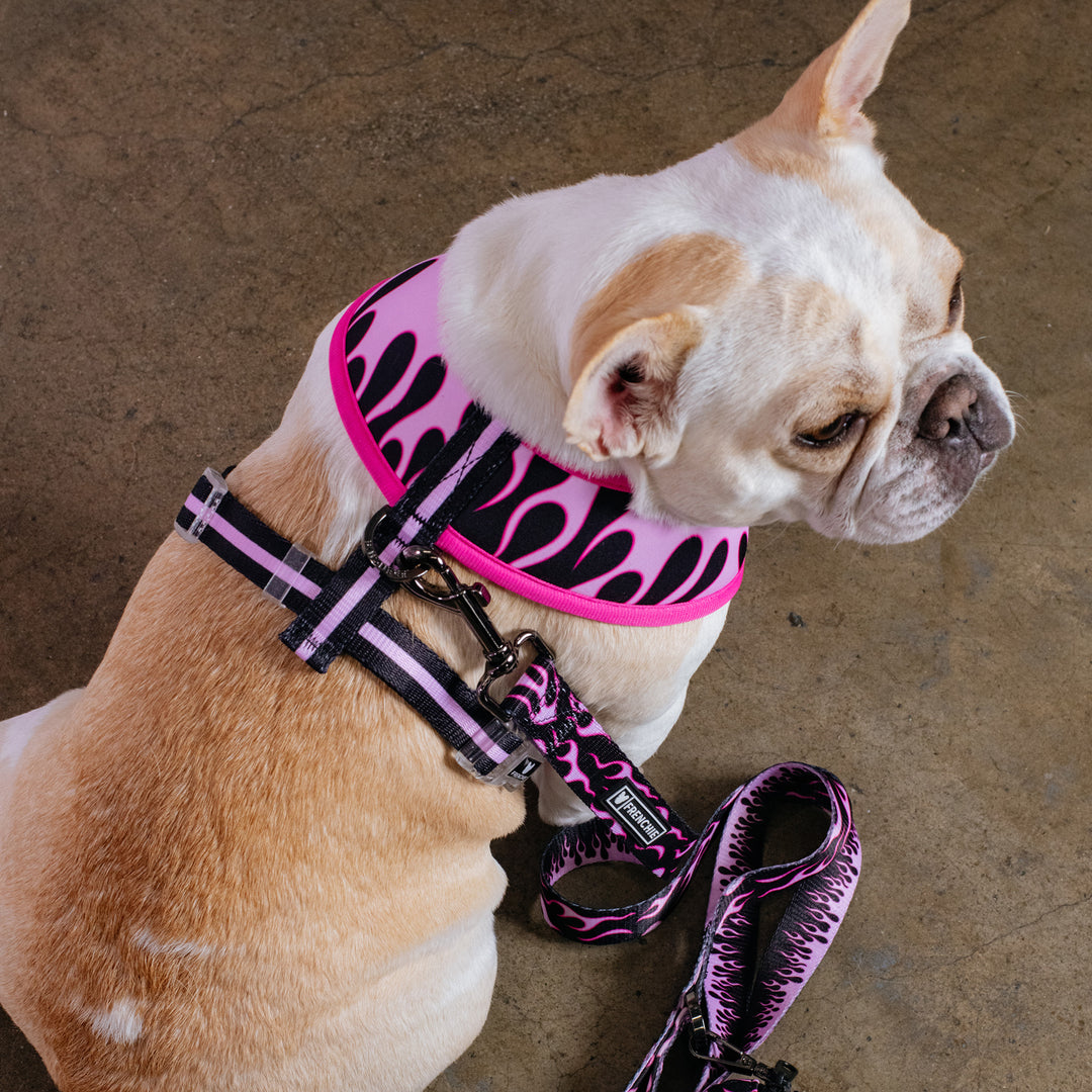 Frenchie Duo Reversible Harness - Flames (Pink)