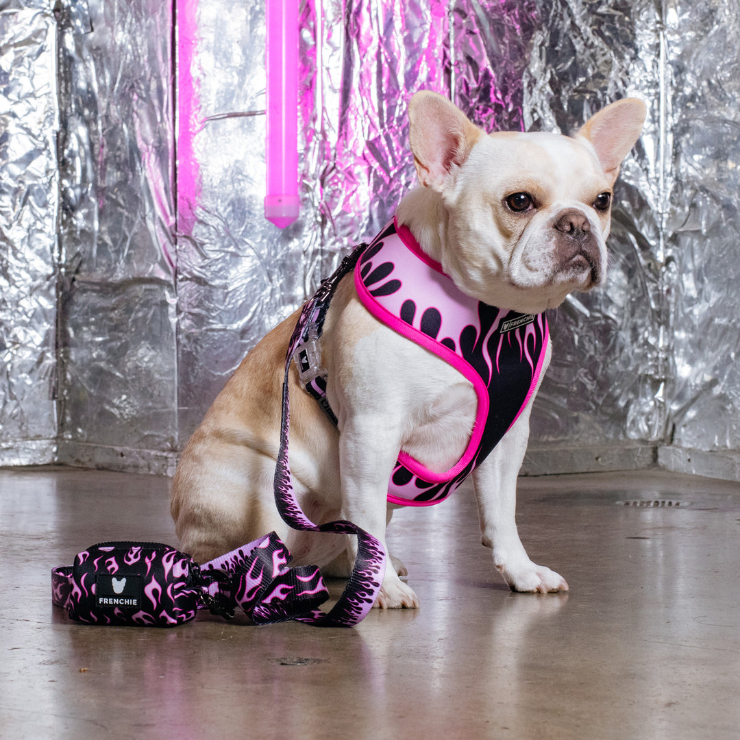 Frenchie Duo Reversible Harness - Flames (Pink)