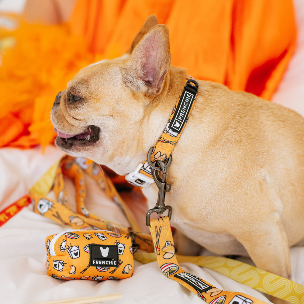 Frenchie Comfort Collar - Frenchie Takeout