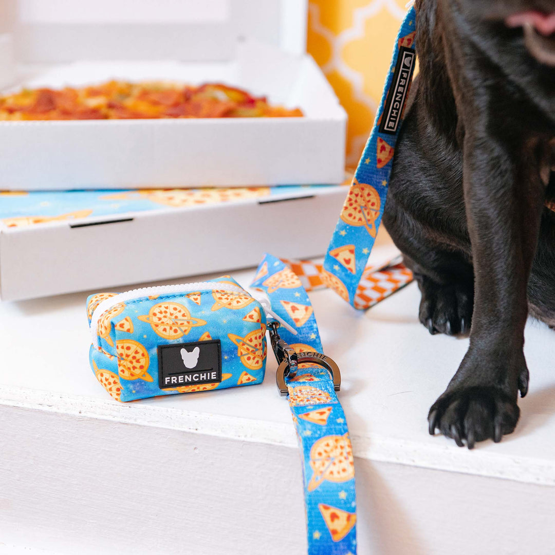 Frenchie Comfort Leash - Galaxy Pizza