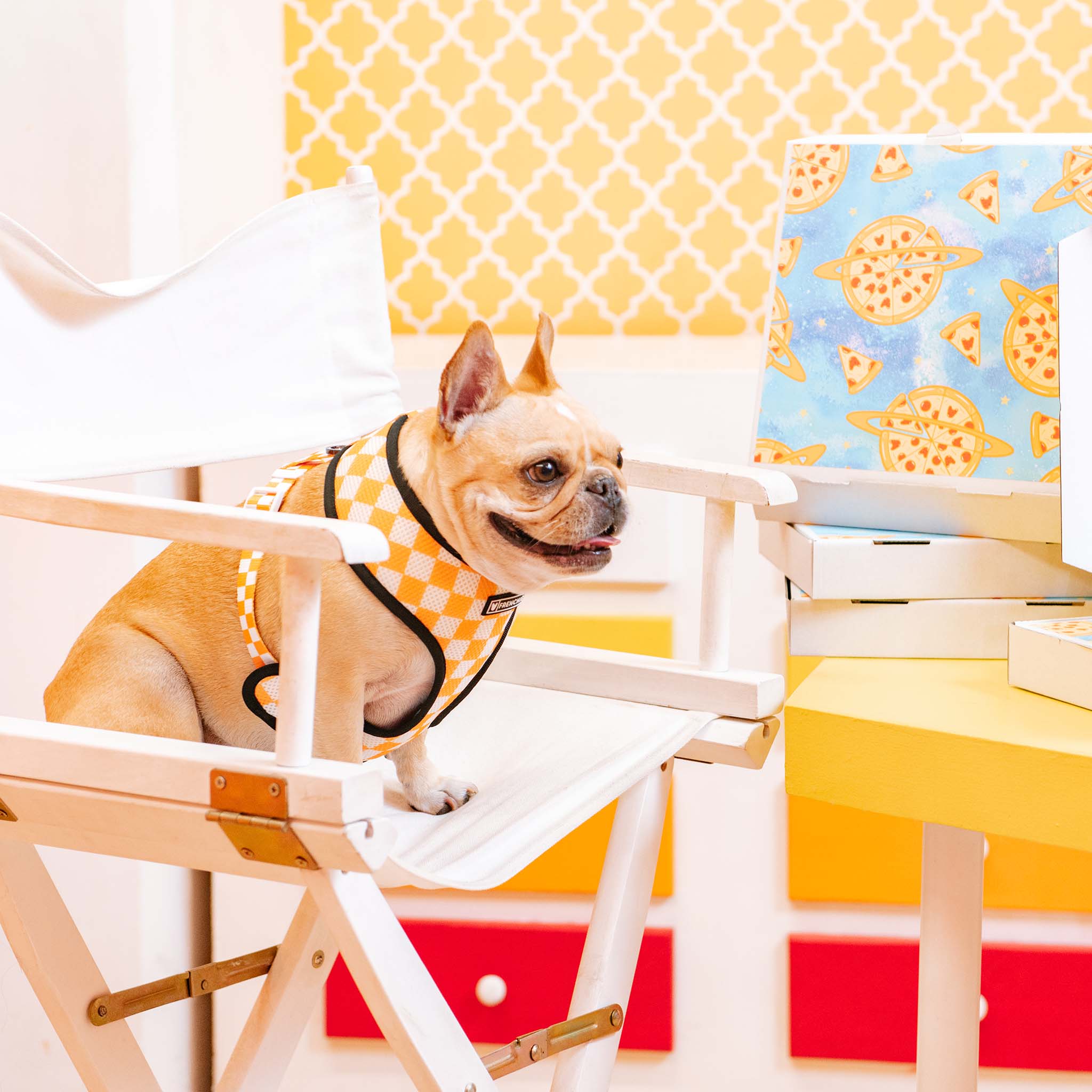 Frenchie Duo Reversible Harness - Galaxy Pizza – Frenchie Bulldog