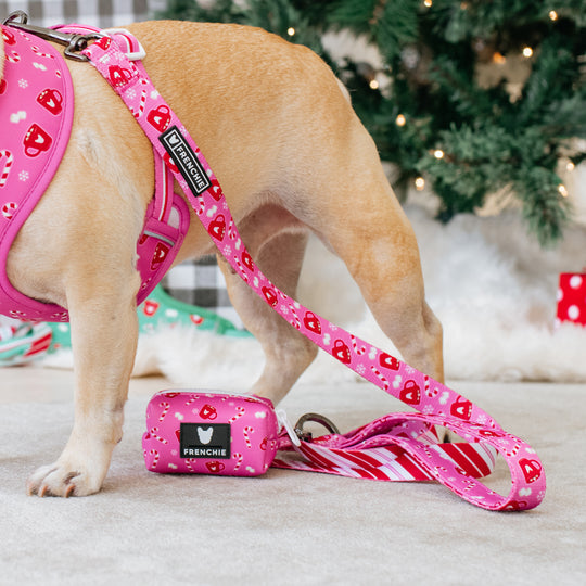 Frenchie Poo Bag Holder - Hot Cocoa (Pink)