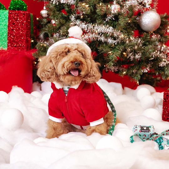 Frenchie Dog Hoodie - Santa