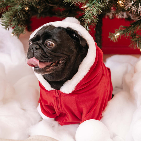 Frenchie Dog Hoodie - Santa