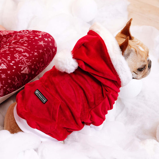 Frenchie Dog Hoodie - Santa